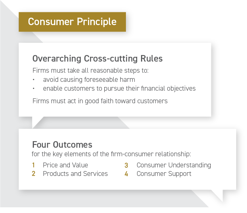 Consumer duty principles image